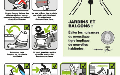 Attention au moustique Tigre